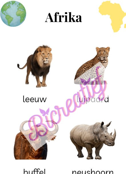 Digitale Onderwijs Download Dieren per continent Printbare Werkbladen voor Basisonderwijs (Direct Download) Bicreatief