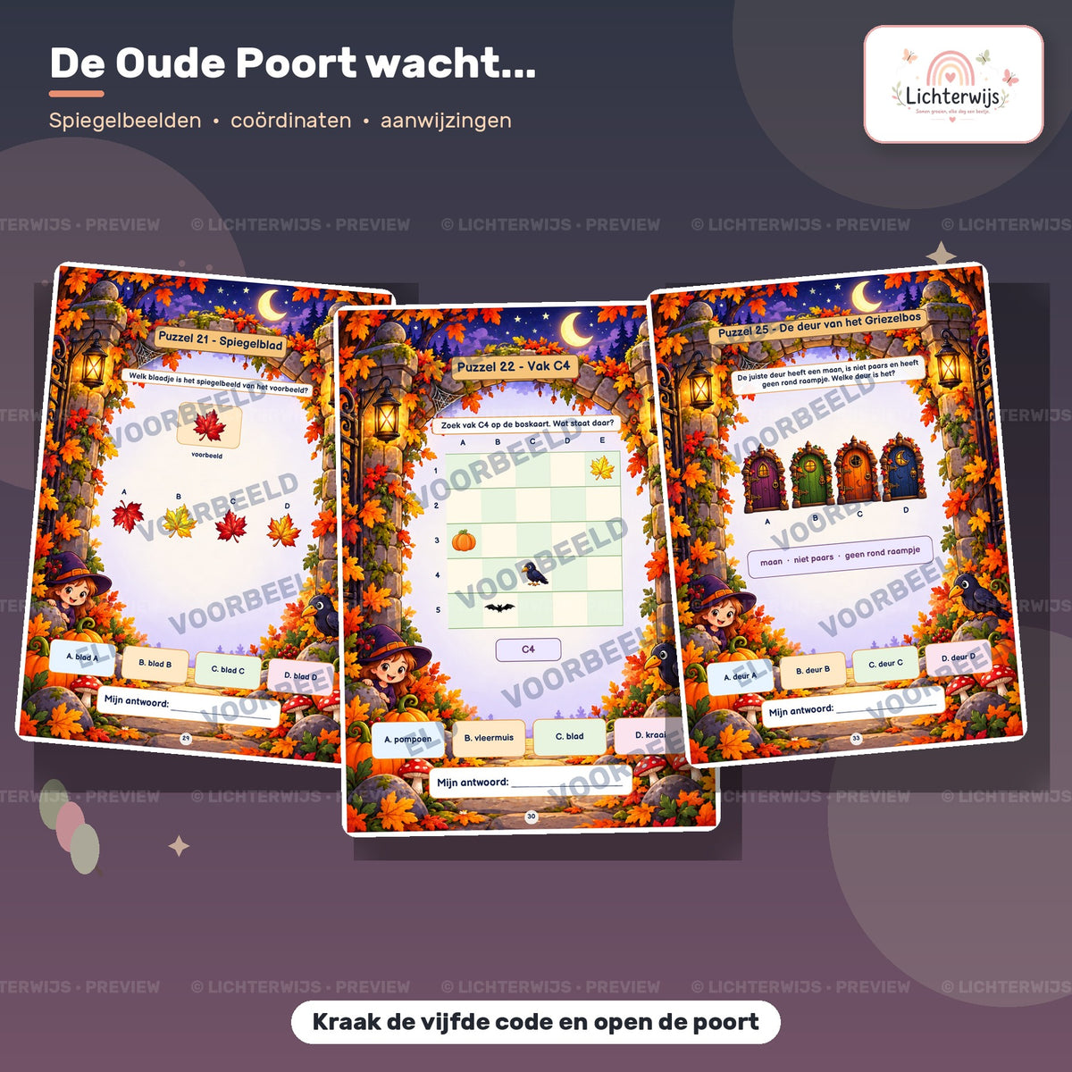 Logische puzzels met spiegelbeelden, coördinaten en deuren uit het avontuur bij de Oude Poort